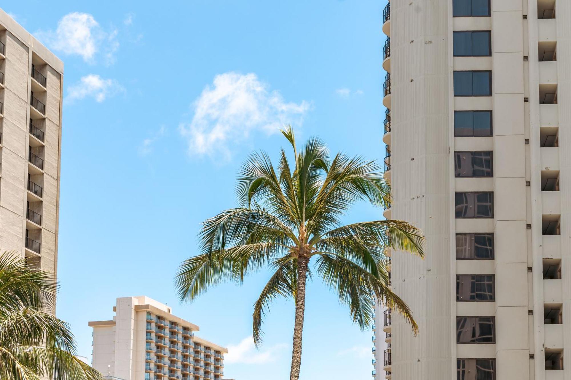 Waikiki Upscale 1 Bedroom - Ocean Views - Parking Honolulu Exterior photo